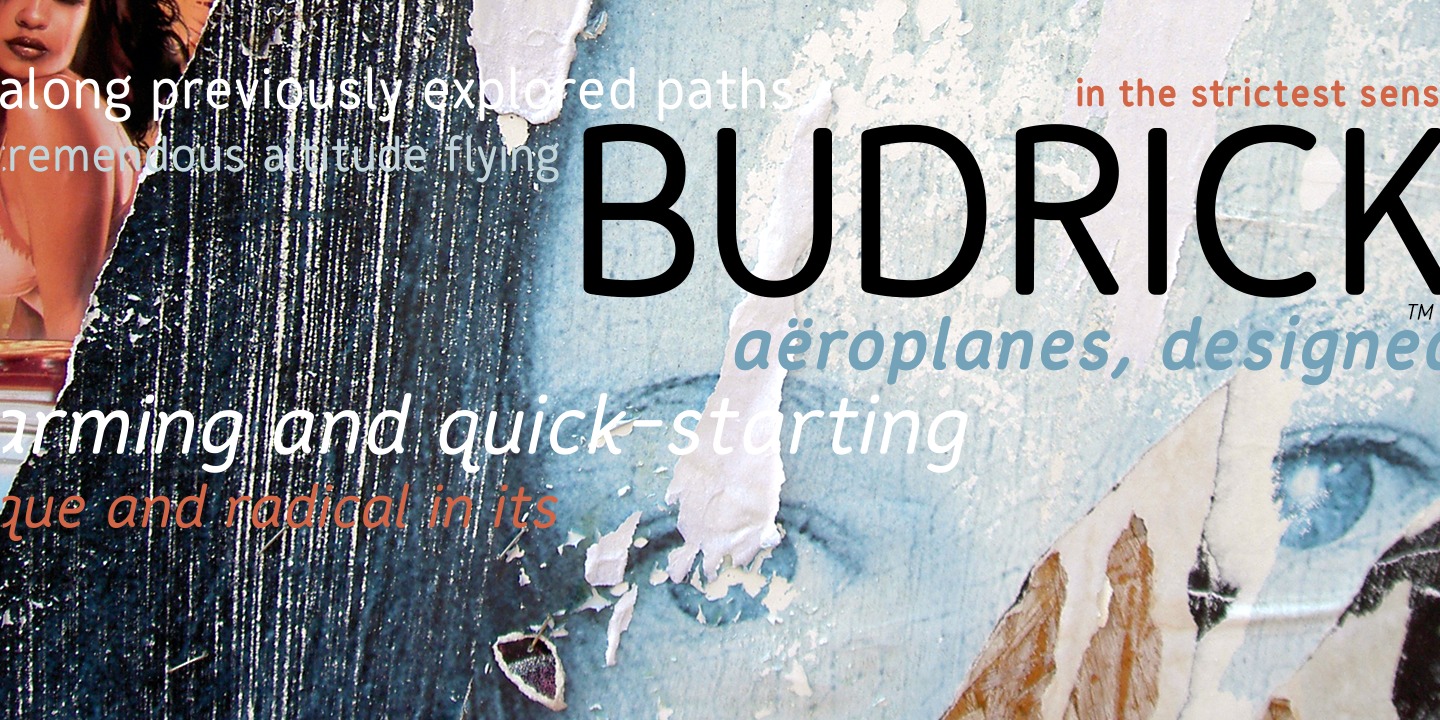 Пример шрифта Budrick BB Italic
